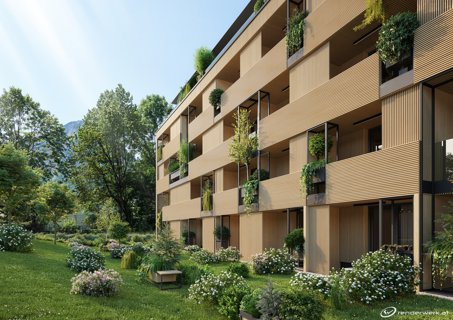 renderwerk Visualisierung Naturquartier